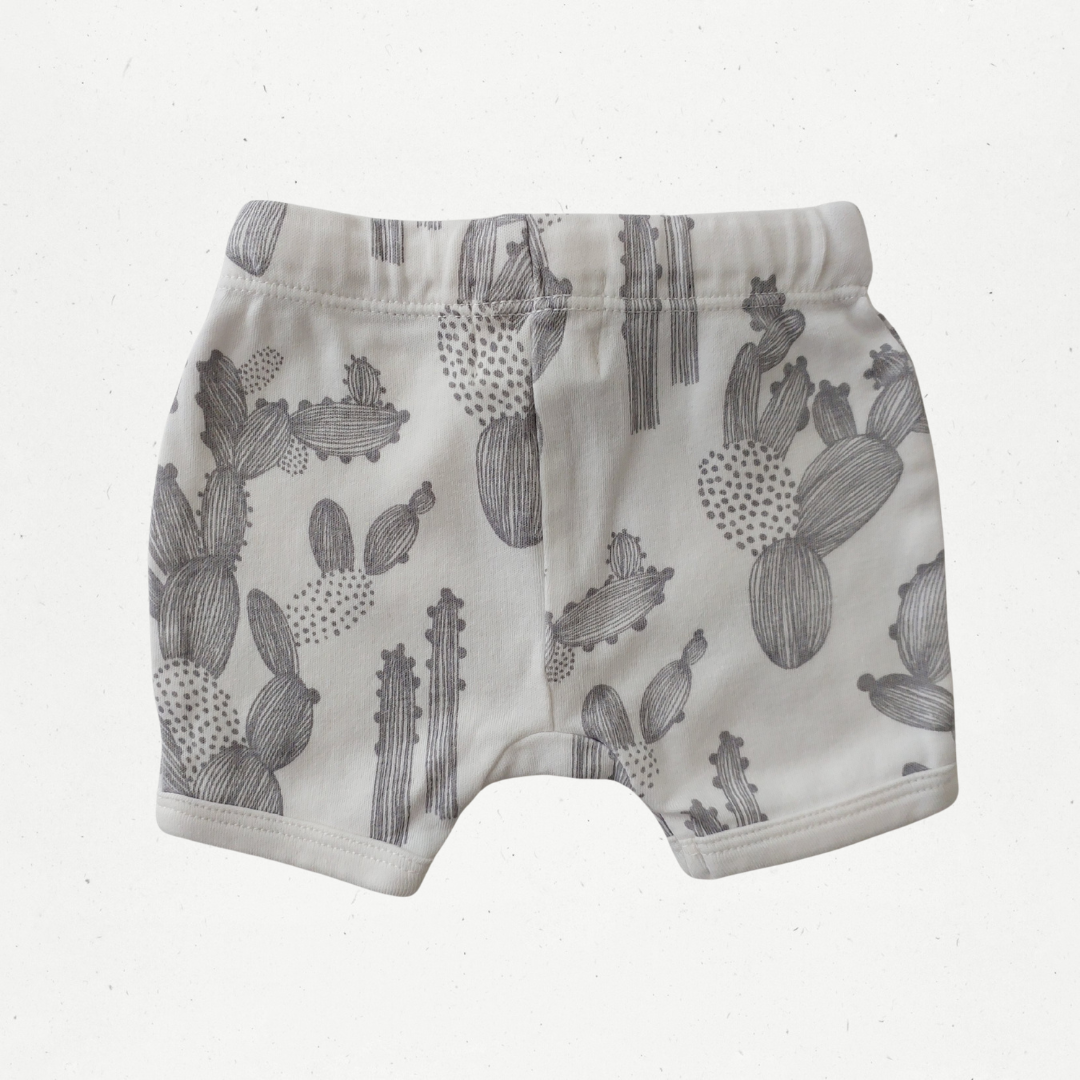 Wilson & Frenchy Shorts