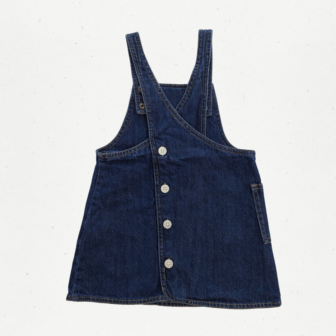 Zara Denim Dress