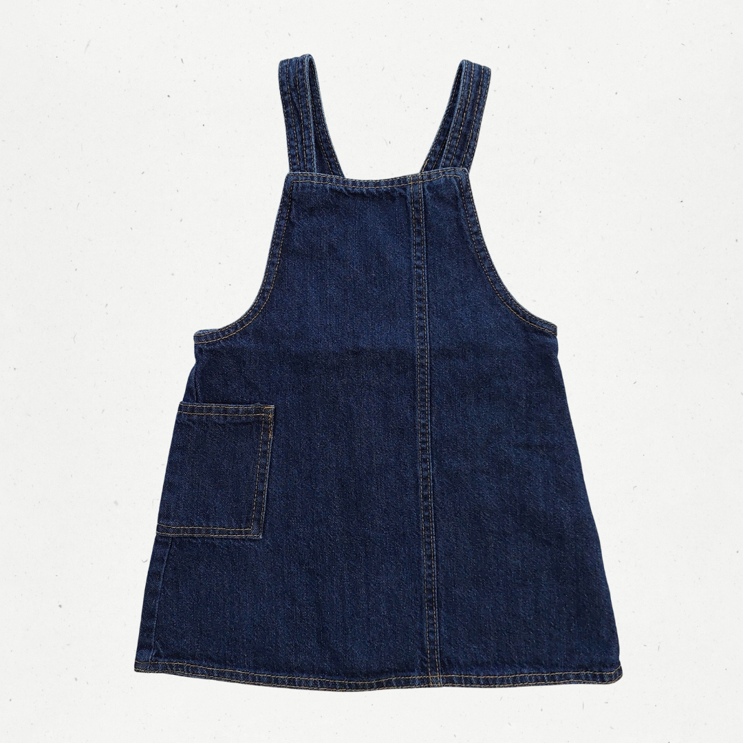 Zara Denim Dress
