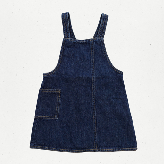 Zara Denim Dress