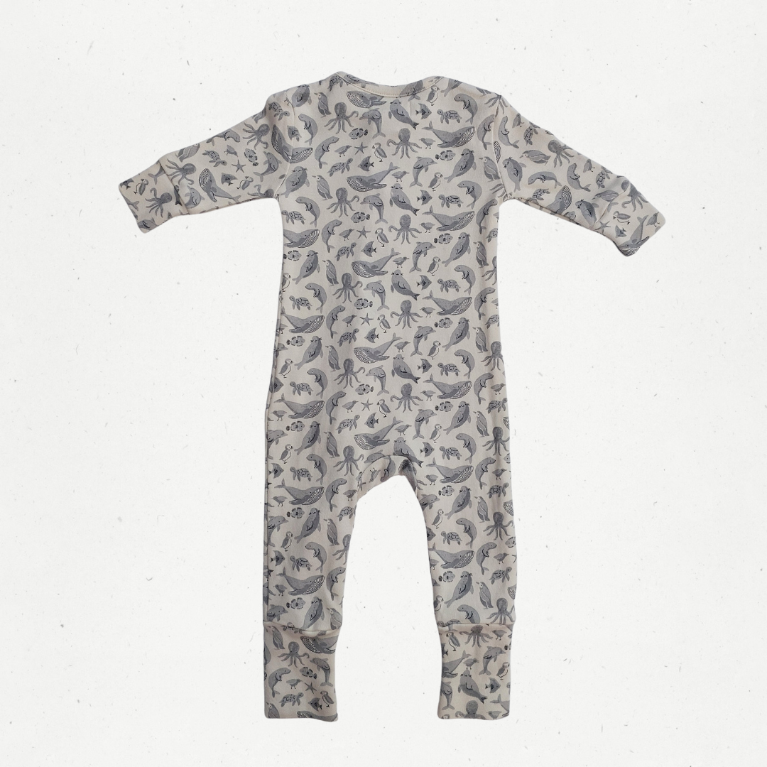 Jamie Kay Sealife Zipsuit